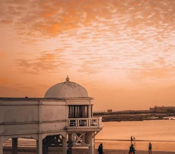 Papallona Grupo Ac Gestion * Cadice