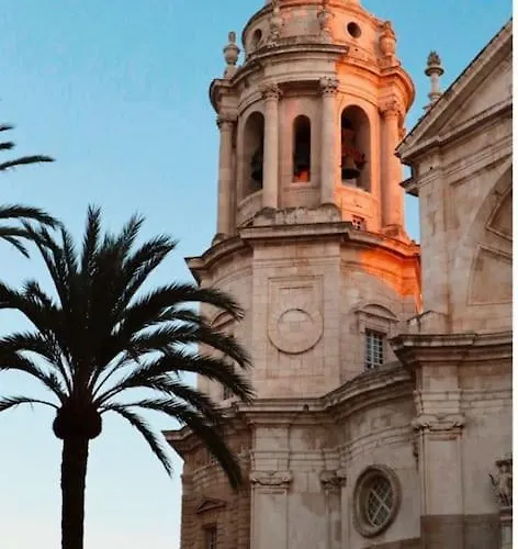 Papallona Grupo Ac Gestion Cadiz