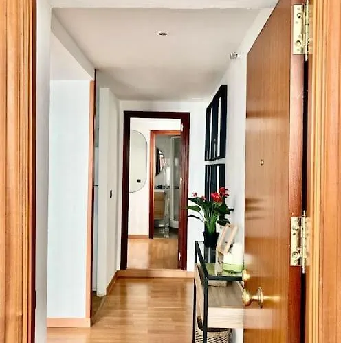 Papallona Grupo Ac Gestion * Cádiz